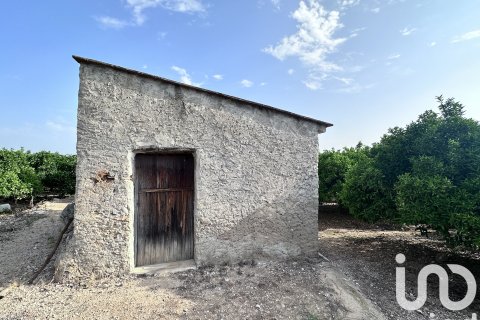 Commercial property in Pego, Alicante, Spain No. 185833