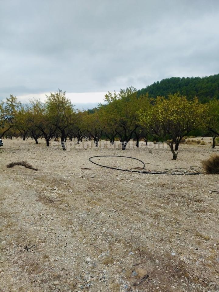 Māja Lucar, Almeria, Spānijā 3 istabas, 100 m2 Nr. 184024