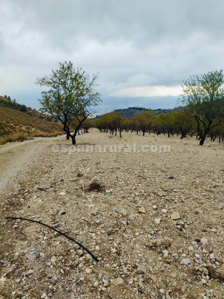 Māja Lucar, Almeria, Spānijā 3 istabas, 100 m2 Nr. 184024