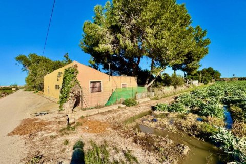 Finca in Guardamar del Segura, Alicante, Spain 4 bedrooms, 200 sq.m. No. 149062