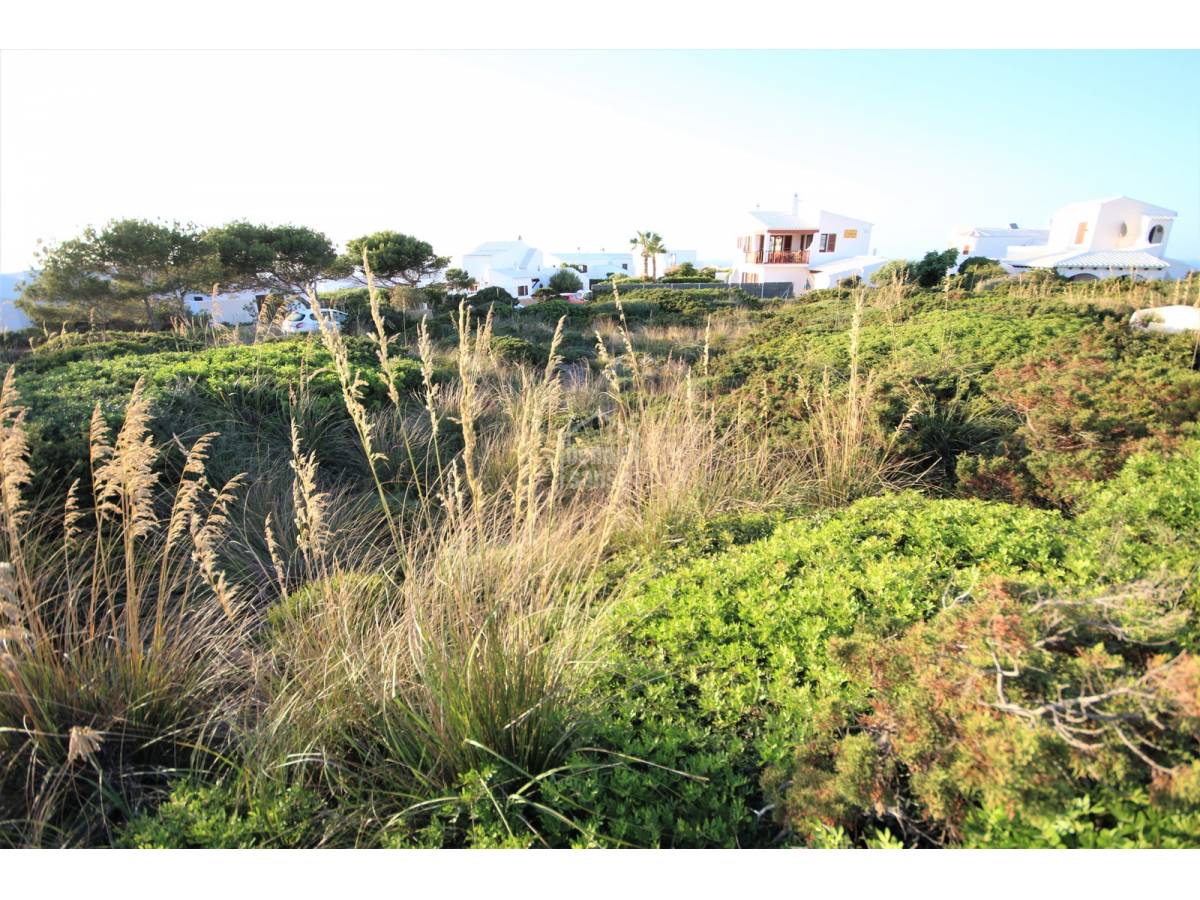 Land plot à Ciutadella De Menorca, Menorca, Espagne No. 65488