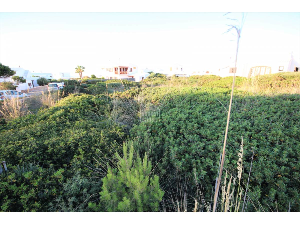 Land plot à Ciutadella De Menorca, Menorca, Espagne No. 65488
