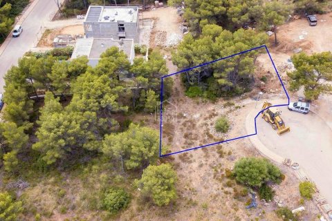 Land in Es Mercadal, Menorca, Spanien Nr. 65483