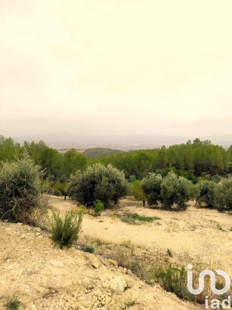 Land plot in Ginestar, Tarragona, Spain 69551 sq.m. No. 186107