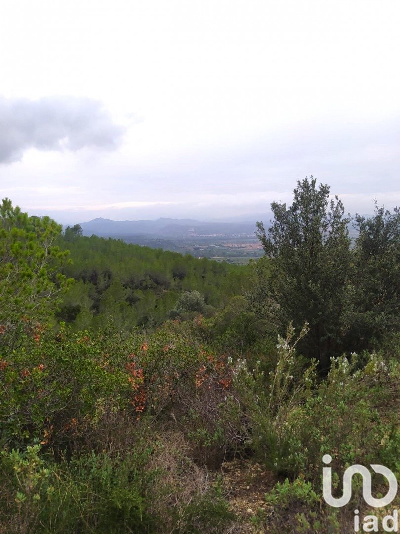 Land plot in Ginestar, Tarragona, Spain 69551 sq.m. No. 186107