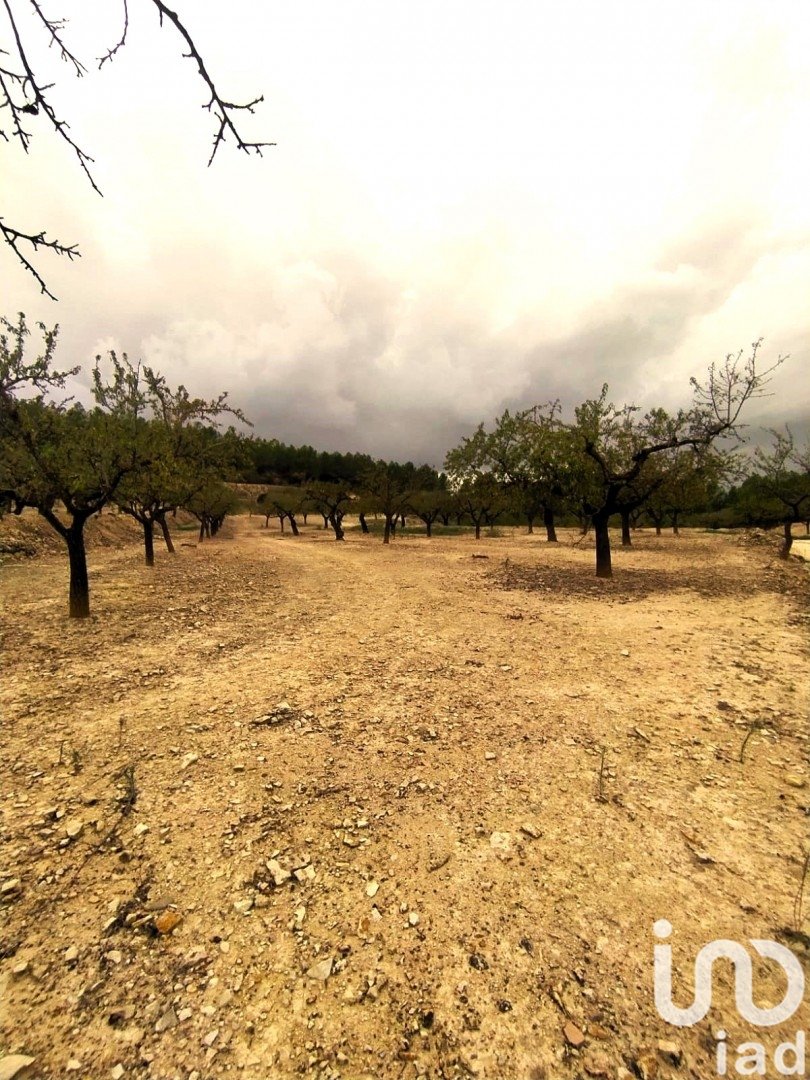 Land plot in Ginestar, Tarragona, Spain 69551 sq.m. No. 186107