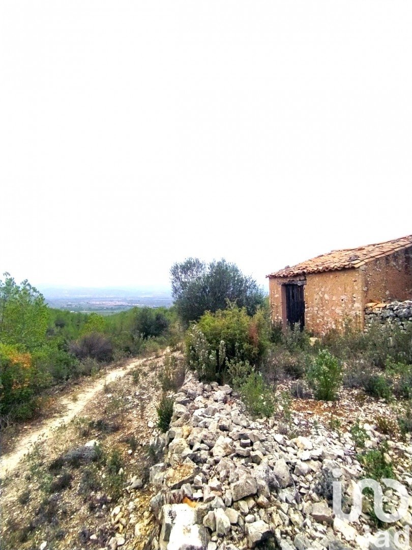 Land plot in Ginestar, Tarragona, Spain 69551 sq.m. No. 186107