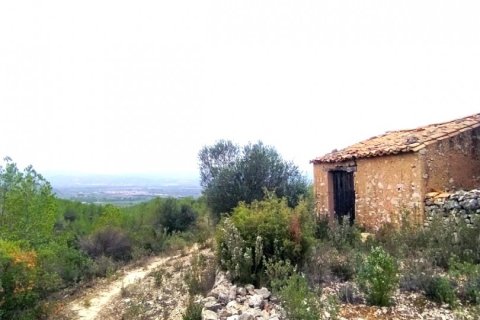 Parcela en Ginestar, Tarragona, España 69551 m2 No. 186107