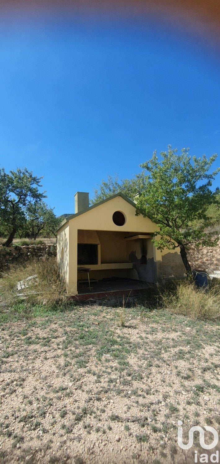 Land plot à Salinas, Alicante, Espagne 20000 m2 No. 186109