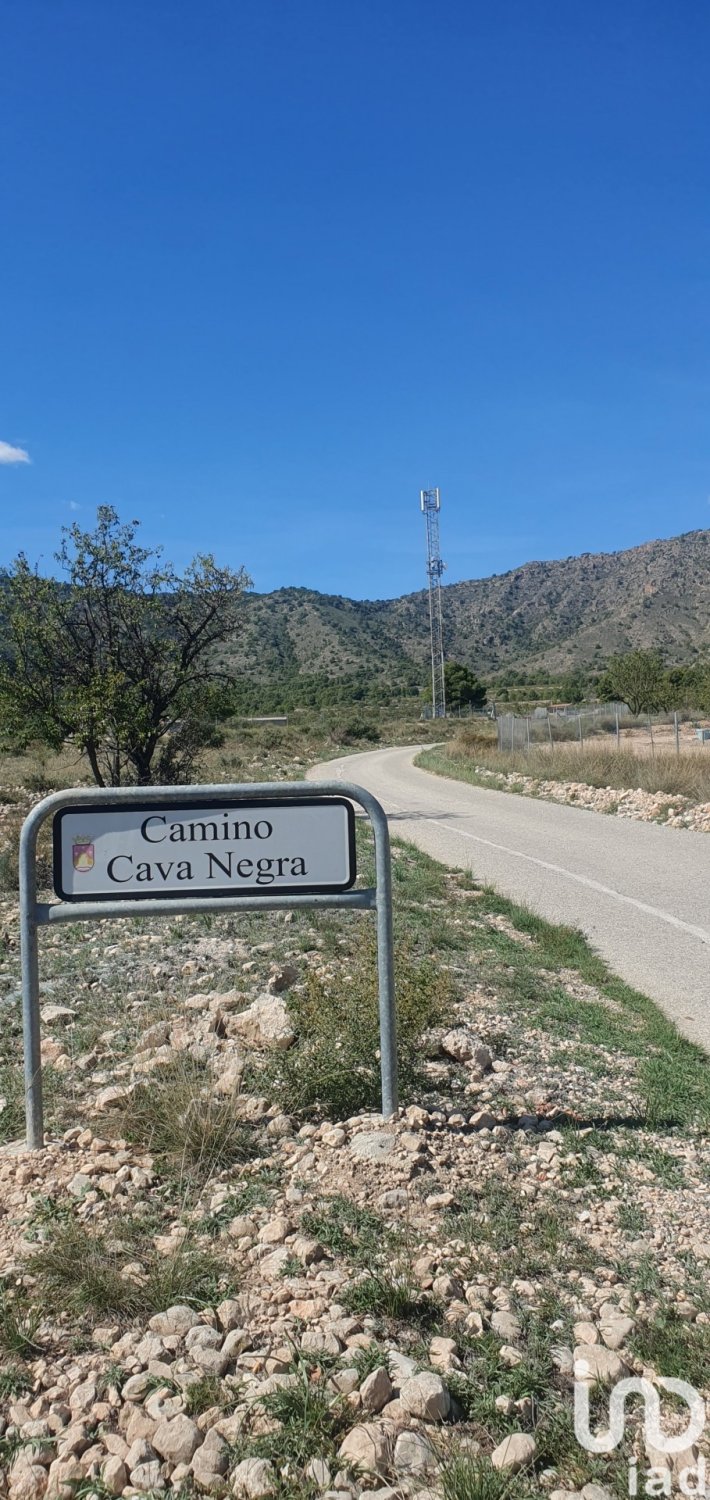 Land plot à Salinas, Alicante, Espagne 20000 m2 No. 186109