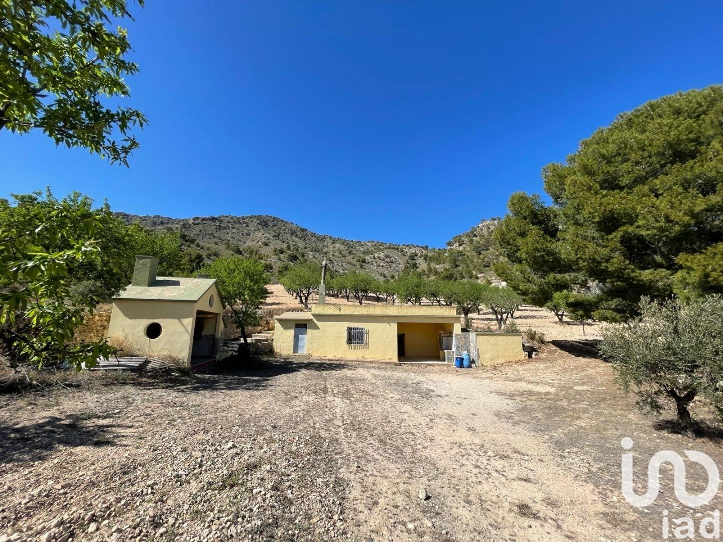 Land plot à Salinas, Alicante, Espagne 20000 m2 No. 186109