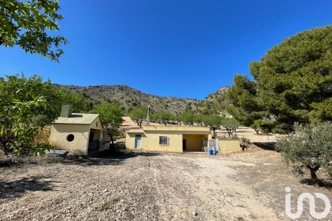 Land plot à Salinas, Alicante, Espagne 20000 m2 No. 186109
