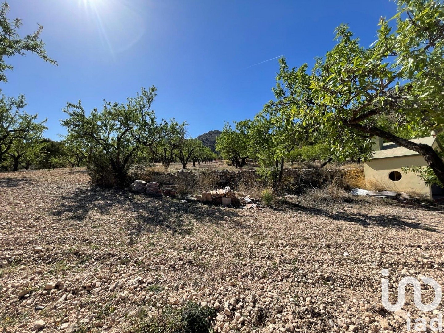 Land plot à Salinas, Alicante, Espagne 20000 m2 No. 186109