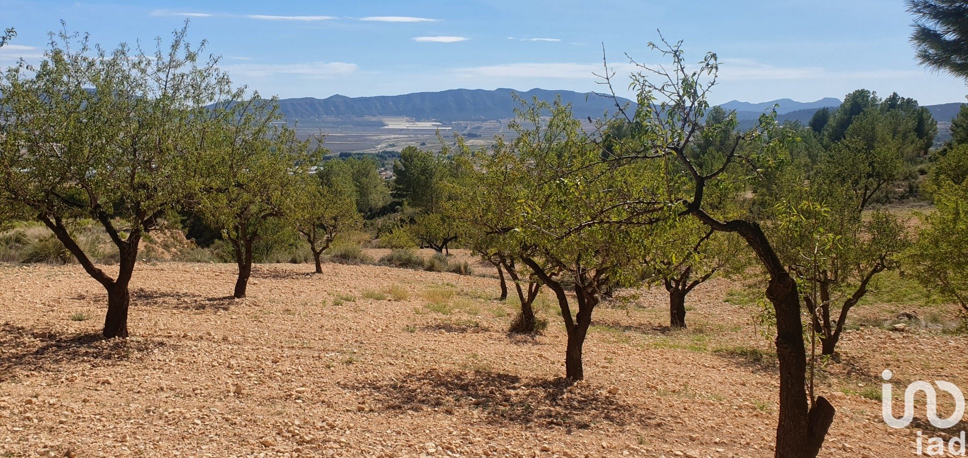 Land plot à Salinas, Alicante, Espagne 20000 m2 No. 186109