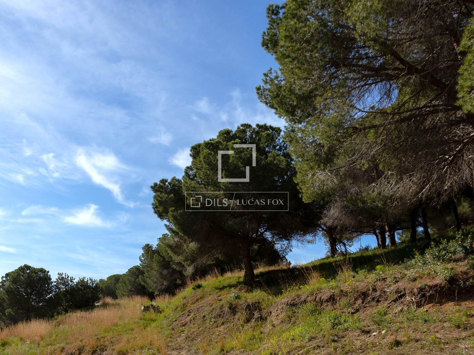 Land plot in Premia De Dalt, Barcelona, Spain No. 192595