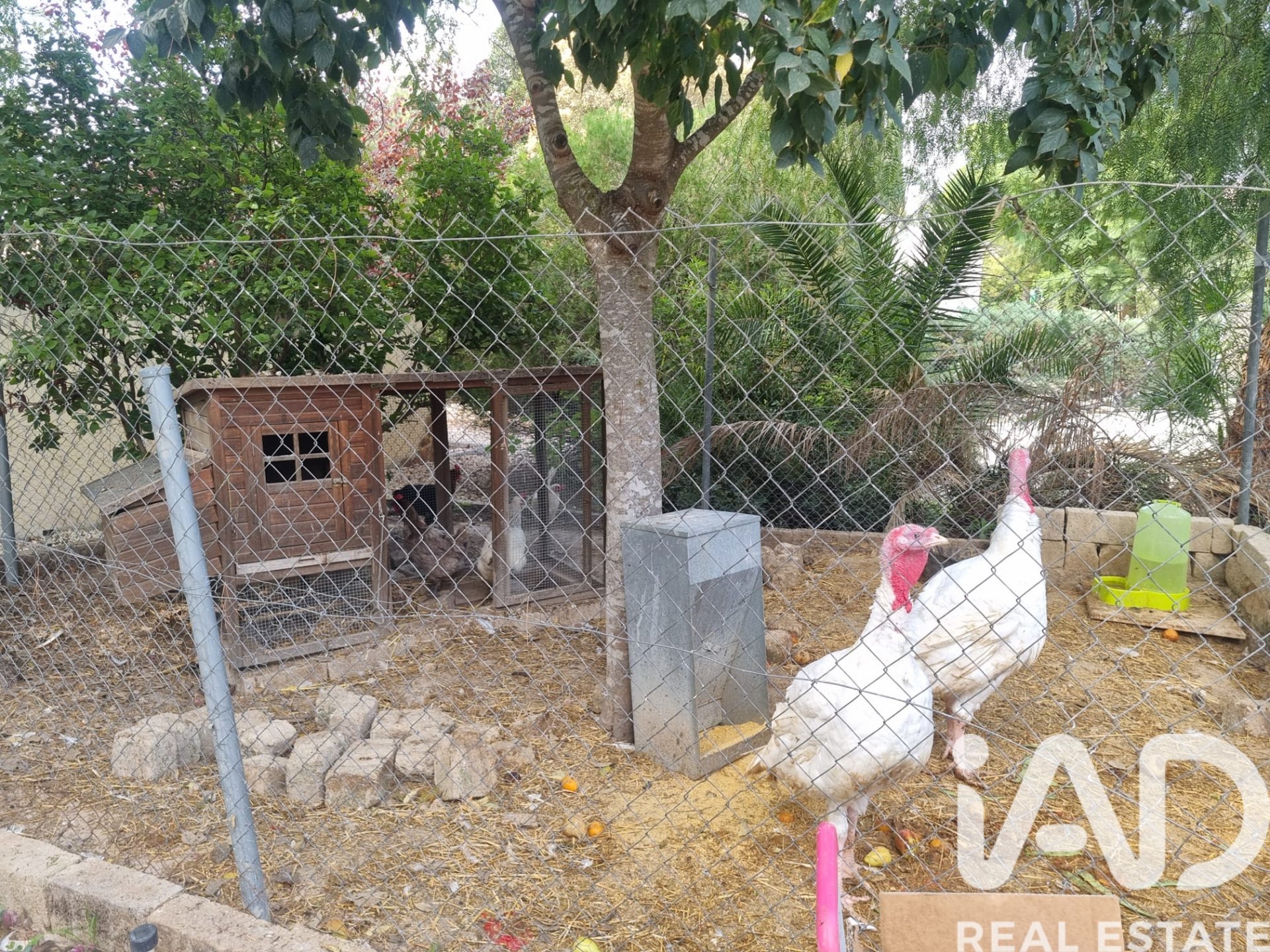 Działka w Alguazas, Murcia, Hiszpania 700 mkw. nr 185242