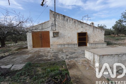 Commercial property in L'Ampolla, Tarragona, Spain No. 185241