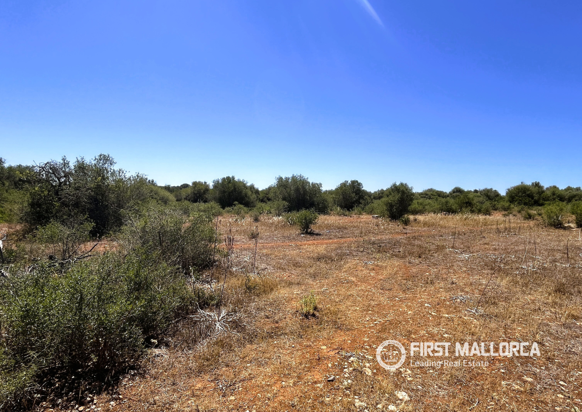 Parcela en Campos, Mallorca, España 4 dormitorios, 21393 m2 No. 168660
