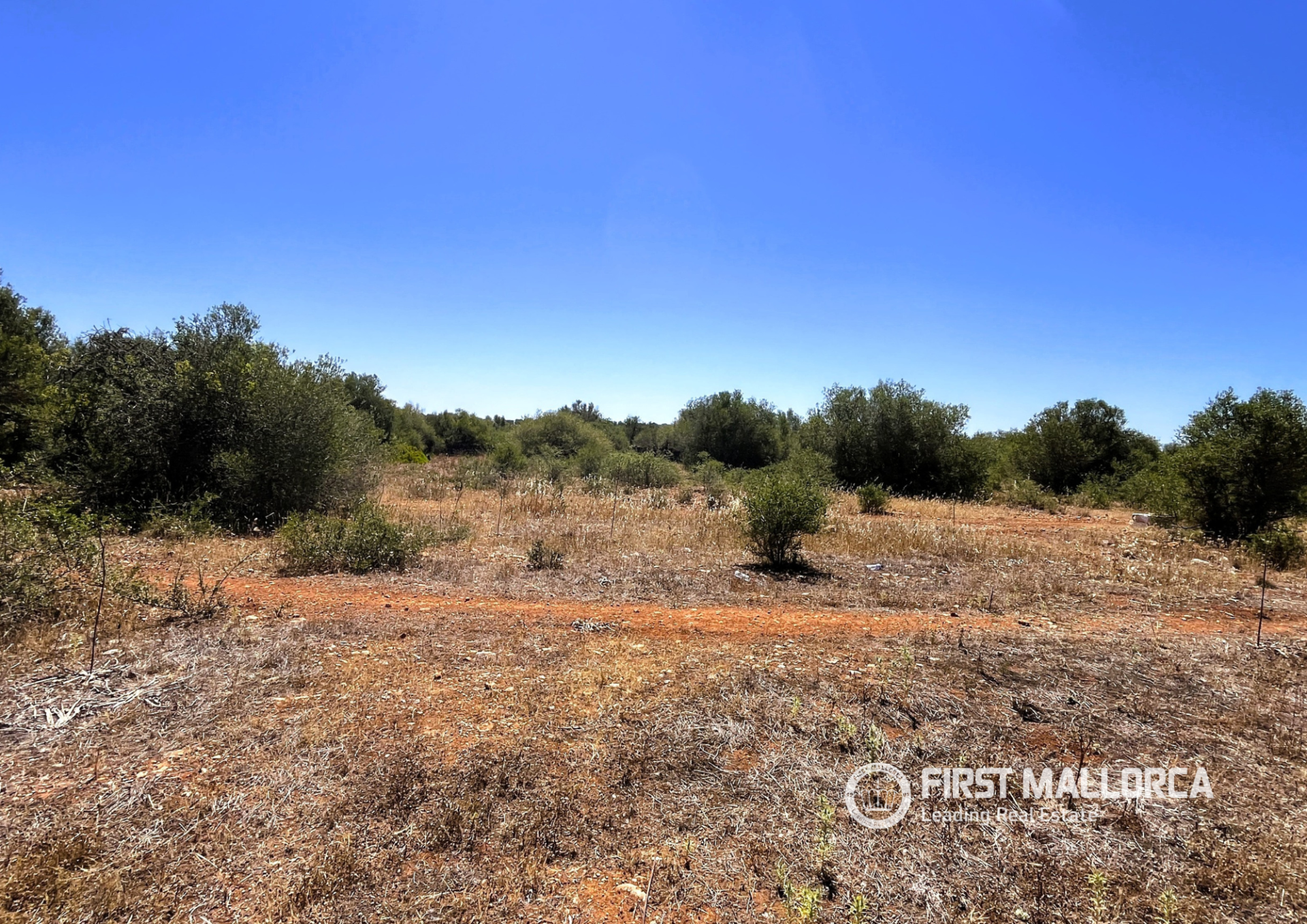 Parcela en Campos, Mallorca, España 4 dormitorios, 21393 m2 No. 168660