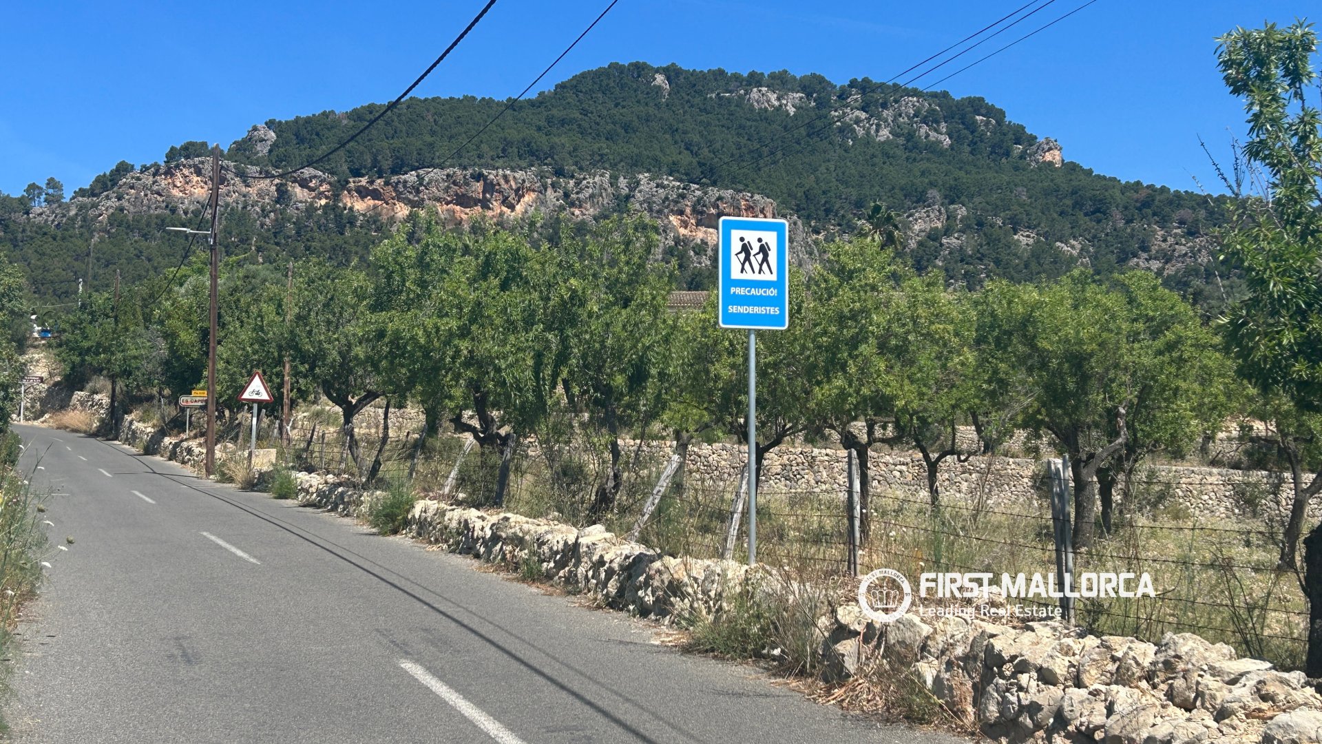 Land in Es Capdella, Mallorca, Spanien 2416 m2 Nr. 168655