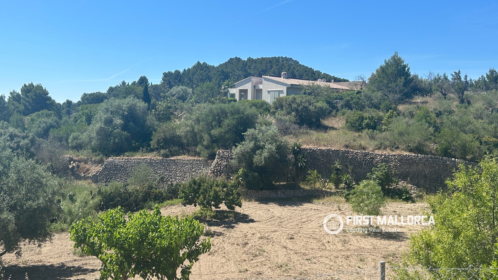 Land in Es Capdella, Mallorca, Spanien 2416 m2 Nr. 168655