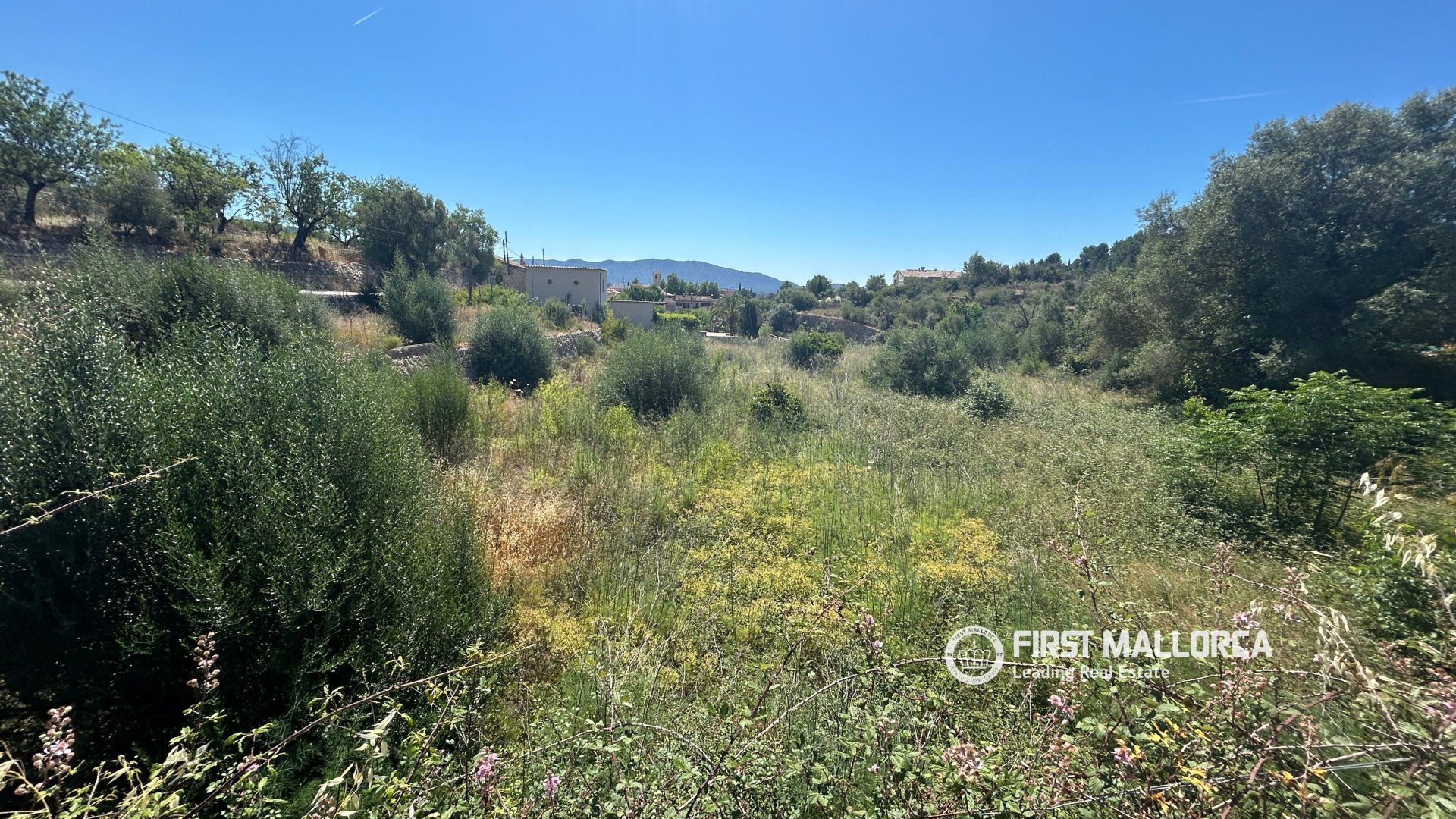 Land in Es Capdella, Mallorca, Spanien 2416 m2 Nr. 168655