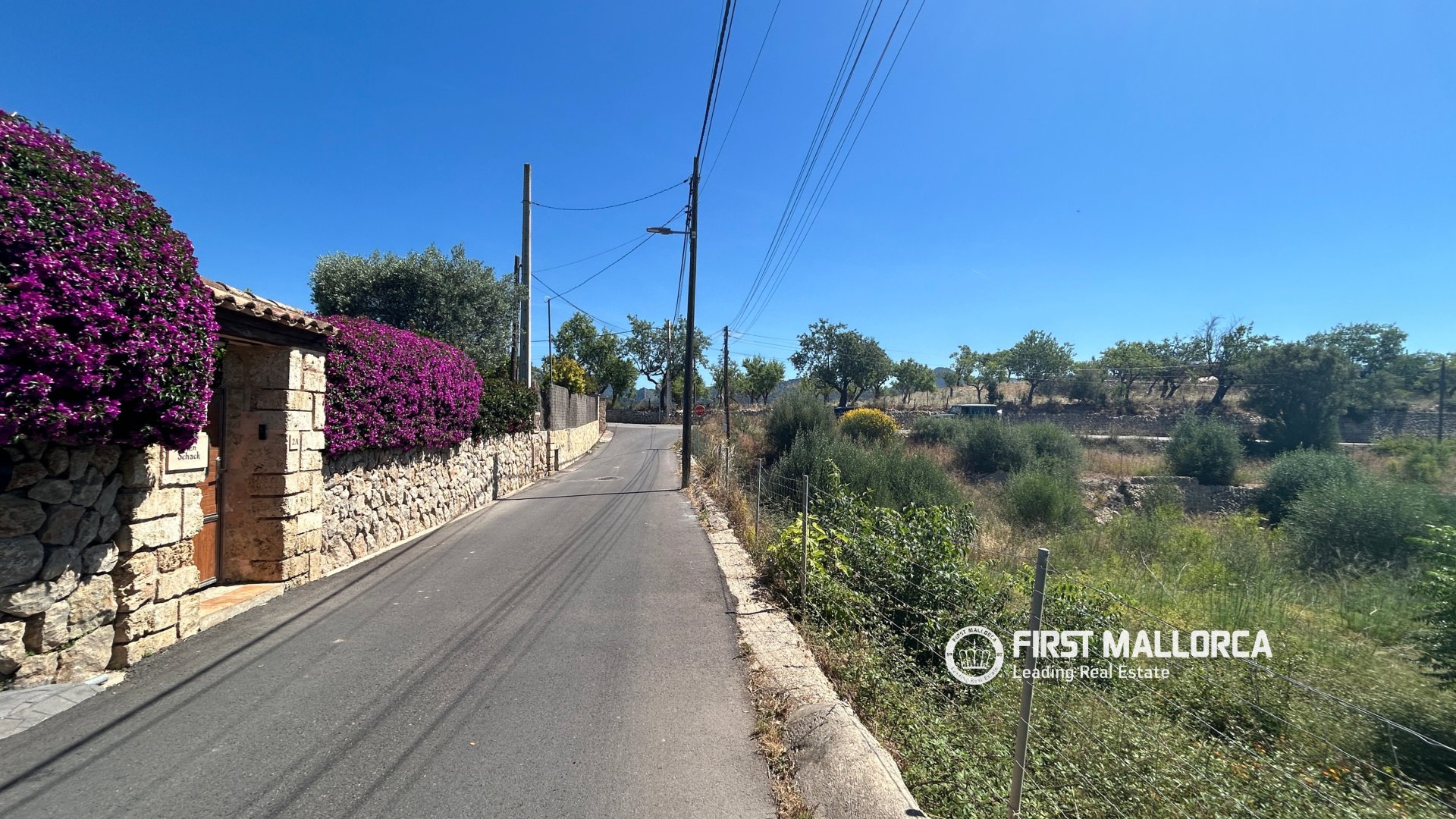 Land in Es Capdella, Mallorca, Spanien 2416 m2 Nr. 168655