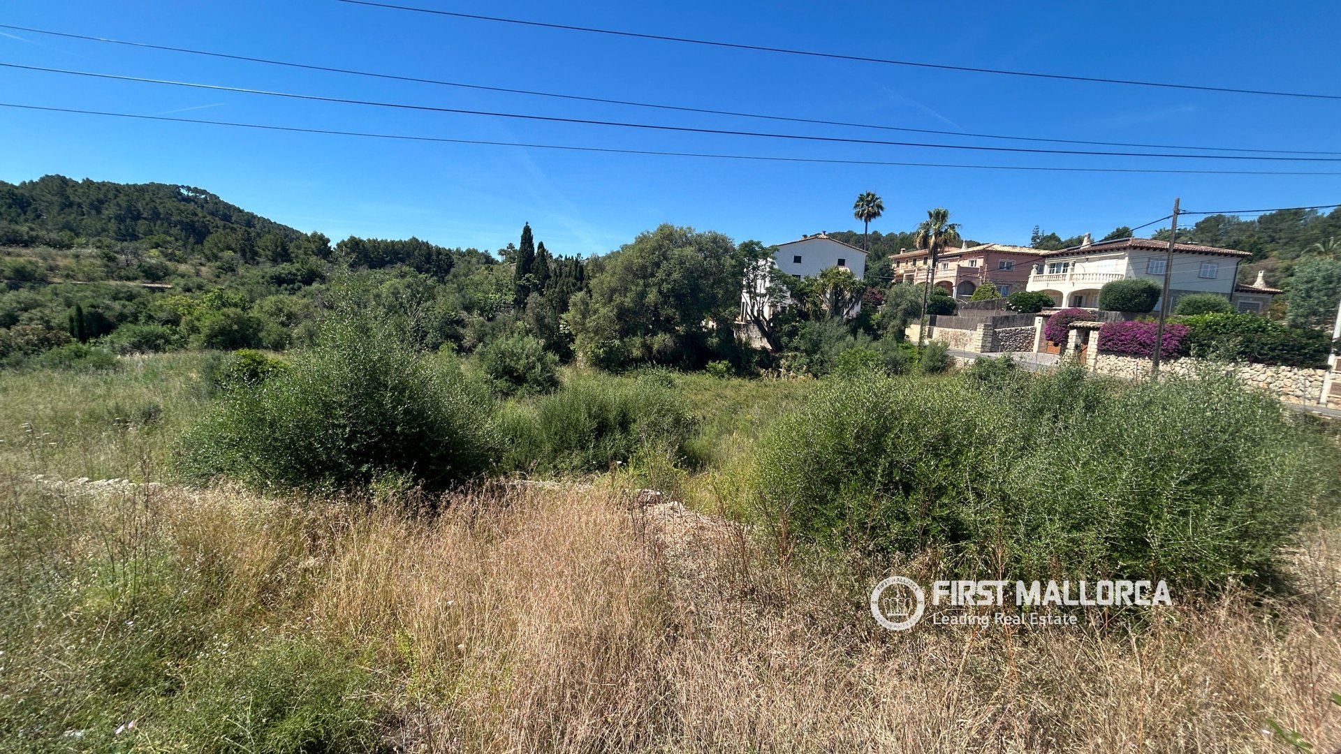 Land in Es Capdella, Mallorca, Spanien 2416 m2 Nr. 168655
