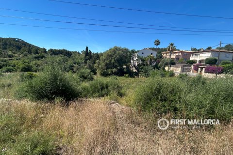 Land plot in Es Capdella, Mallorca, Spain 2416 sq.m. No. 168655