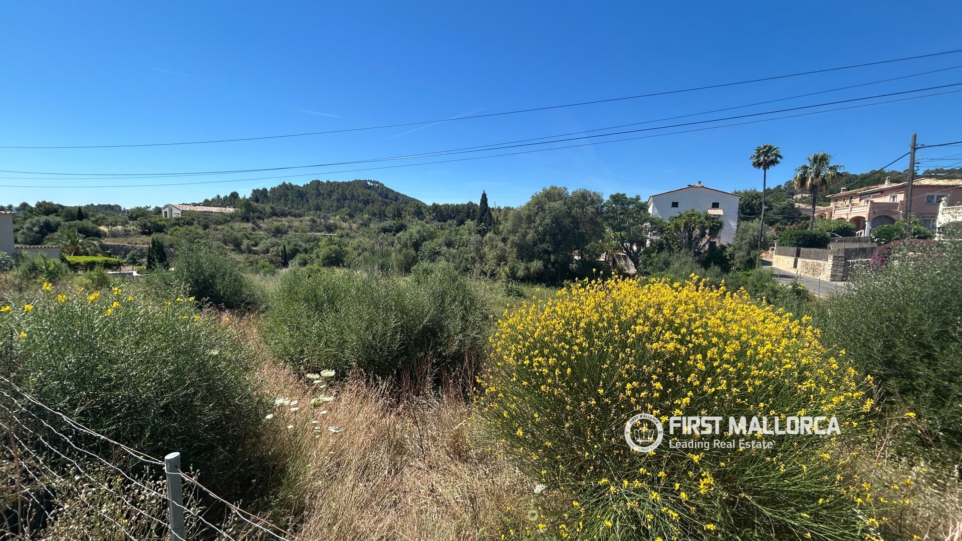 Land in Es Capdella, Mallorca, Spanien 2416 m2 Nr. 168655