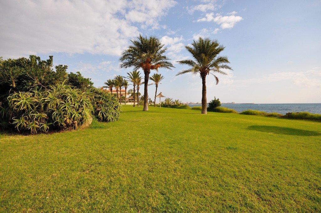 Apartamento en Torrevieja, Alicante, España 2 dormitorios, 90 m2 No. 144793