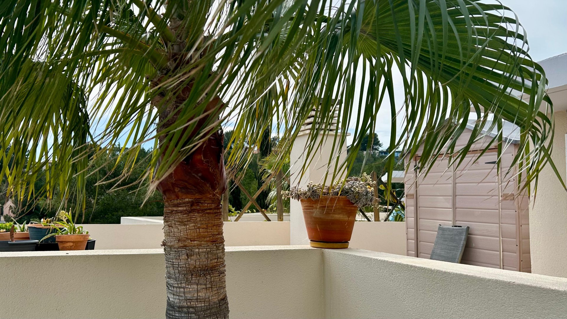 Lägenhet i Cala Vinyes, Mallorca, Spanien 2 sovrum, 90 kvm. Nr. 156062