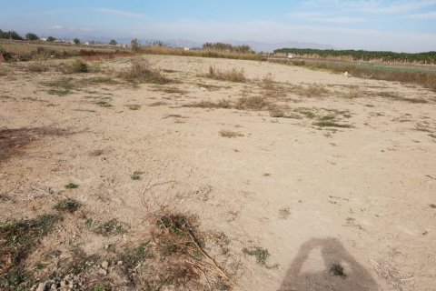 Działka w Ciudad Quesada, Alicante, Hiszpania nr 74714