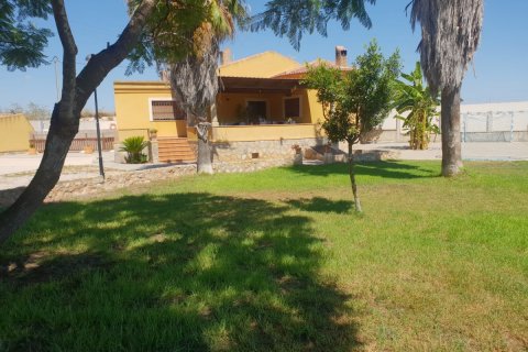 Villa à Los Montesinos, Alicante, Espagne 2 chambres, 105 m2 No. 74711