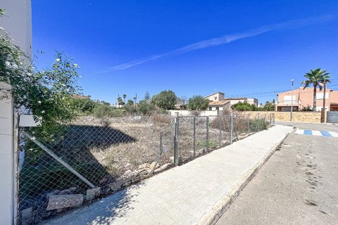 Land plot in Mallorca, Spain No. 147788