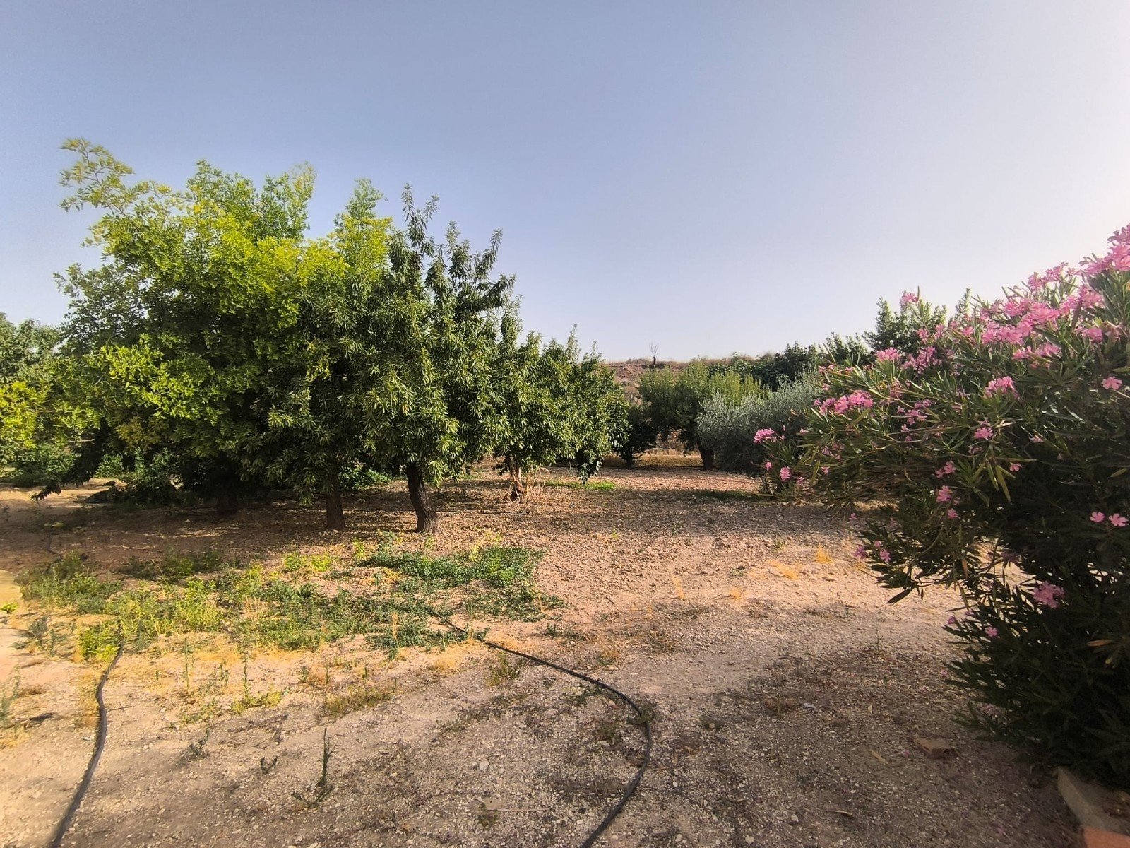 Huvila Pinoso, Alicante, Espanja 3 makuuhuonetta, 120 m2 No. 195436