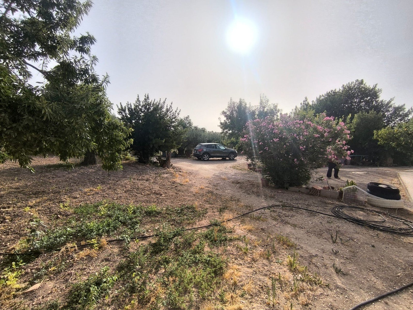 Huvila Pinoso, Alicante, Espanja 3 makuuhuonetta, 120 m2 No. 195436