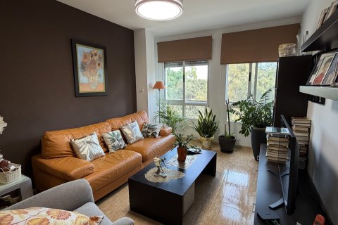 Apartment à Pilar de la Horadada, Alicante, Espagne 2 chambres, 70 m2 No. 196155