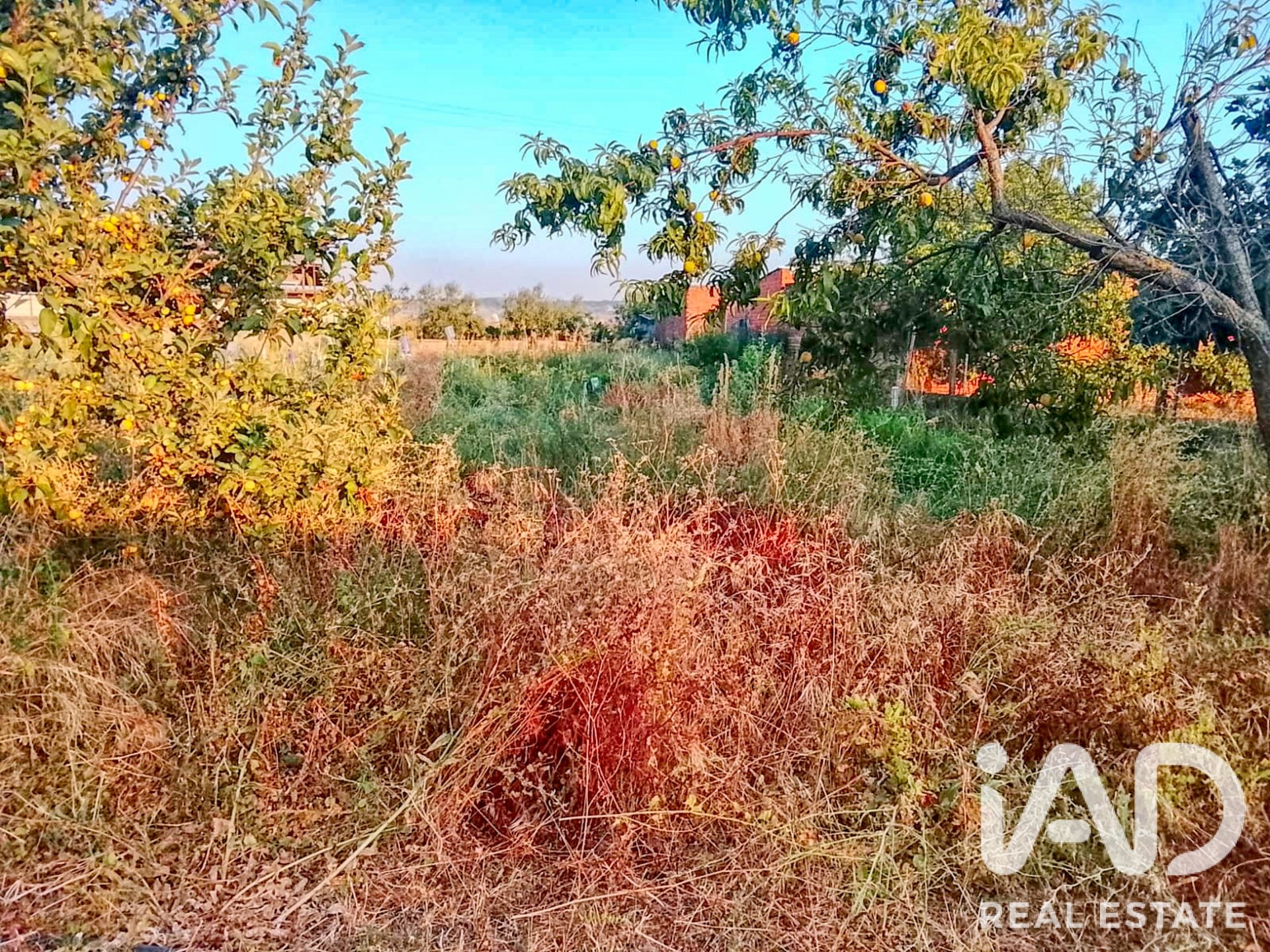 Zemes gabals Talavera De La Reina, Toledo, Spānijā 1942.54 m2 Nr. 193523