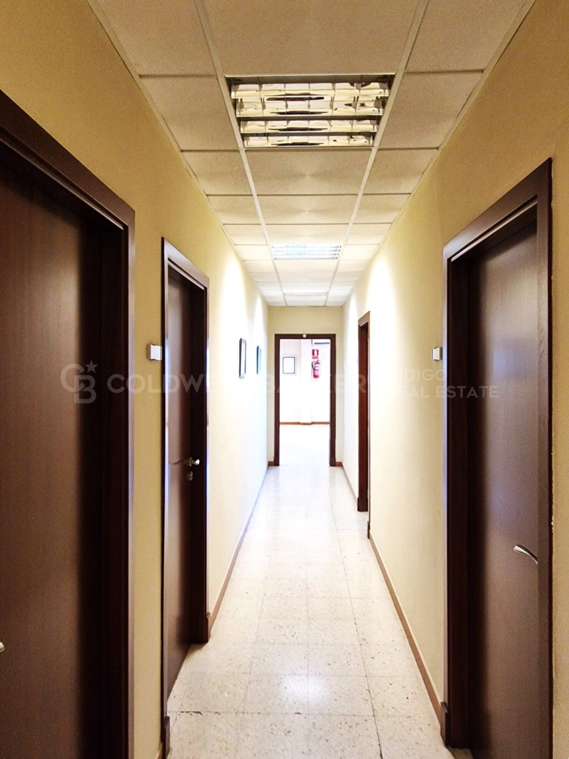 Commercial property in Aznalcollar, Seville, Spain 30773 sq.m. No. 159790