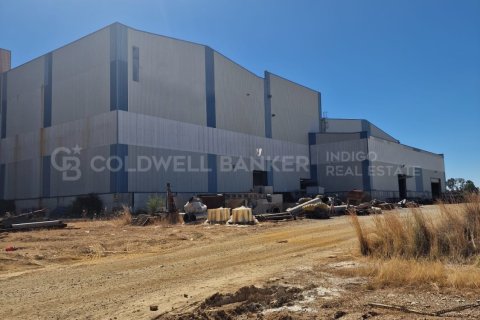 Gewerbeimmobilien in Aznalcollar, Seville, Spanien 30773 m2 Nr. 159790