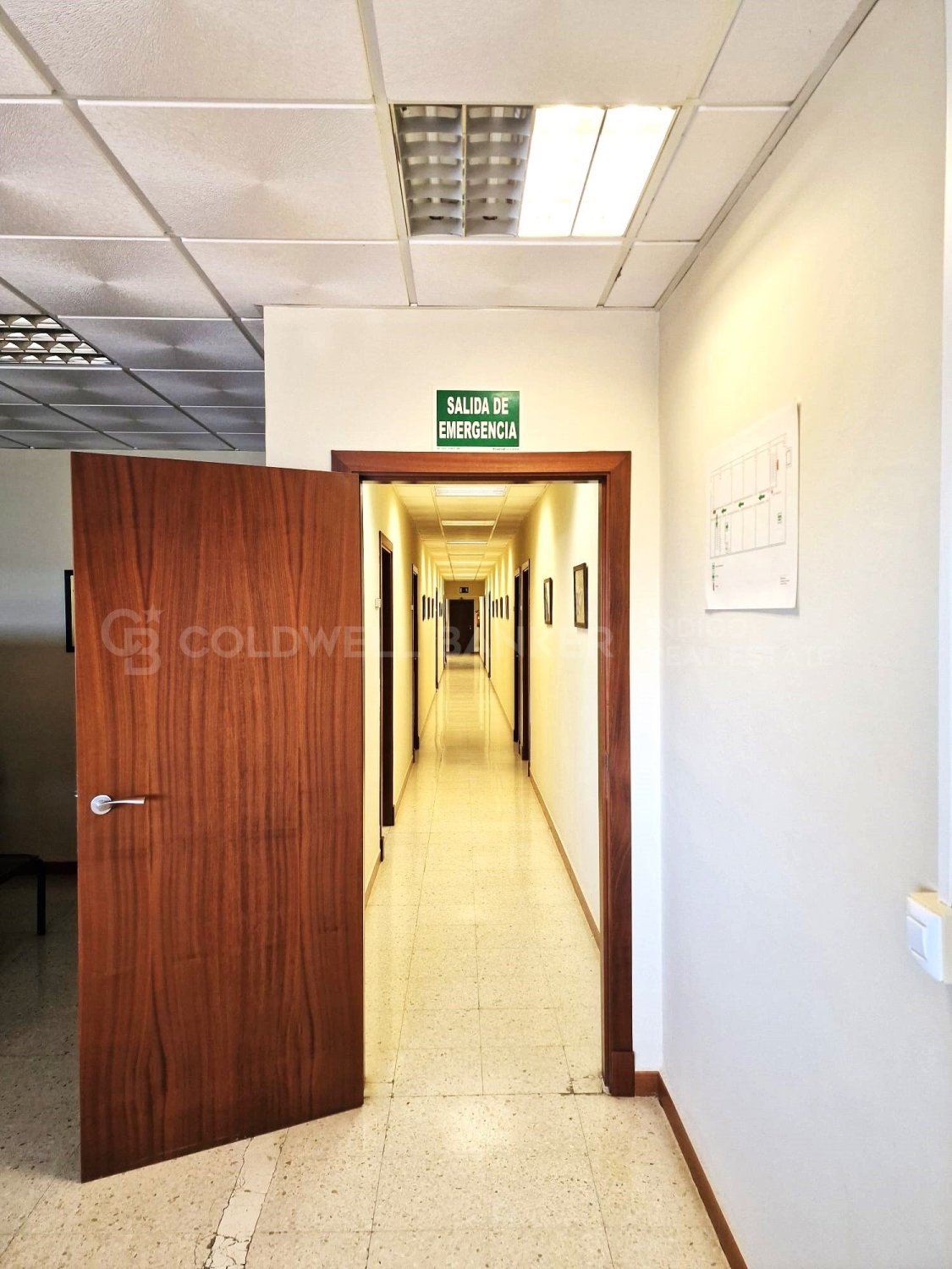 Commercial property in Aznalcollar, Seville, Spain 30773 sq.m. No. 159790