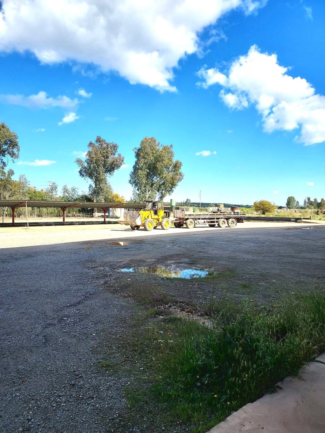 Commercial property in Aznalcollar, Seville, Spain 30773 sq.m. No. 159790