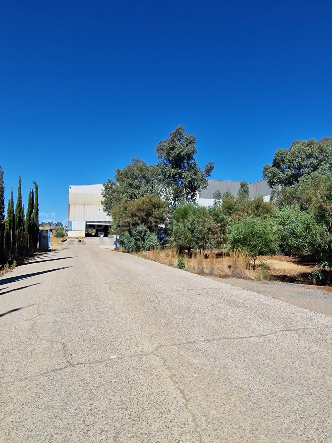 Commercial property in Aznalcollar, Seville, Spain 30773 sq.m. No. 159790