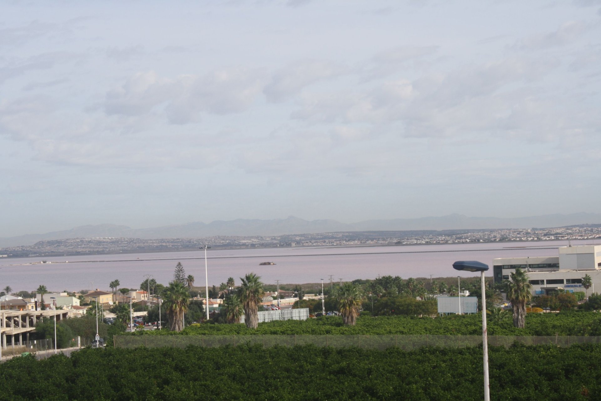 Villa à Torrevieja, Alicante, Espagne 2 chambres, 225 m2 No. 156300