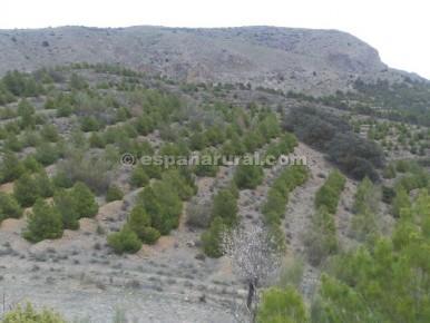 Casa a Tijola, Almeria, Spagna 250 mq. N° 184182