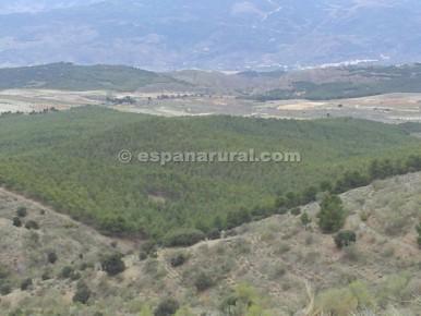 Casa a Tijola, Almeria, Spagna 250 mq. N° 184182