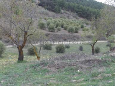 Casa a Tijola, Almeria, Spagna 250 mq. N° 184182