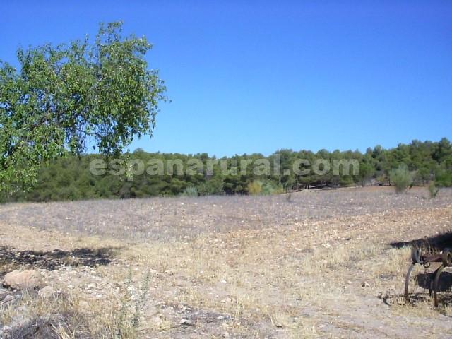 Casa a Tijola, Almeria, Spagna 250 mq. N° 184182