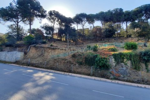 Land in Dosrius, Barcelona, Spanien Nr. 186654